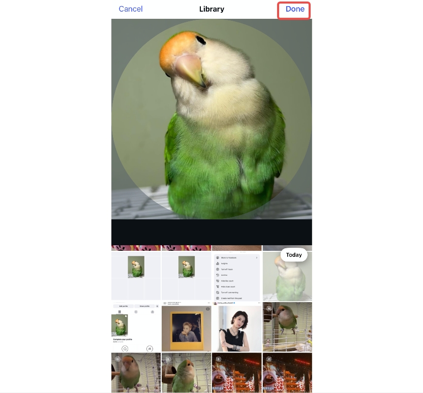 Publish profile photo