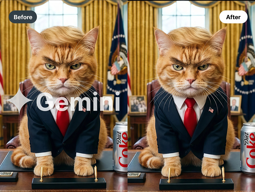 Transparent-Watermark