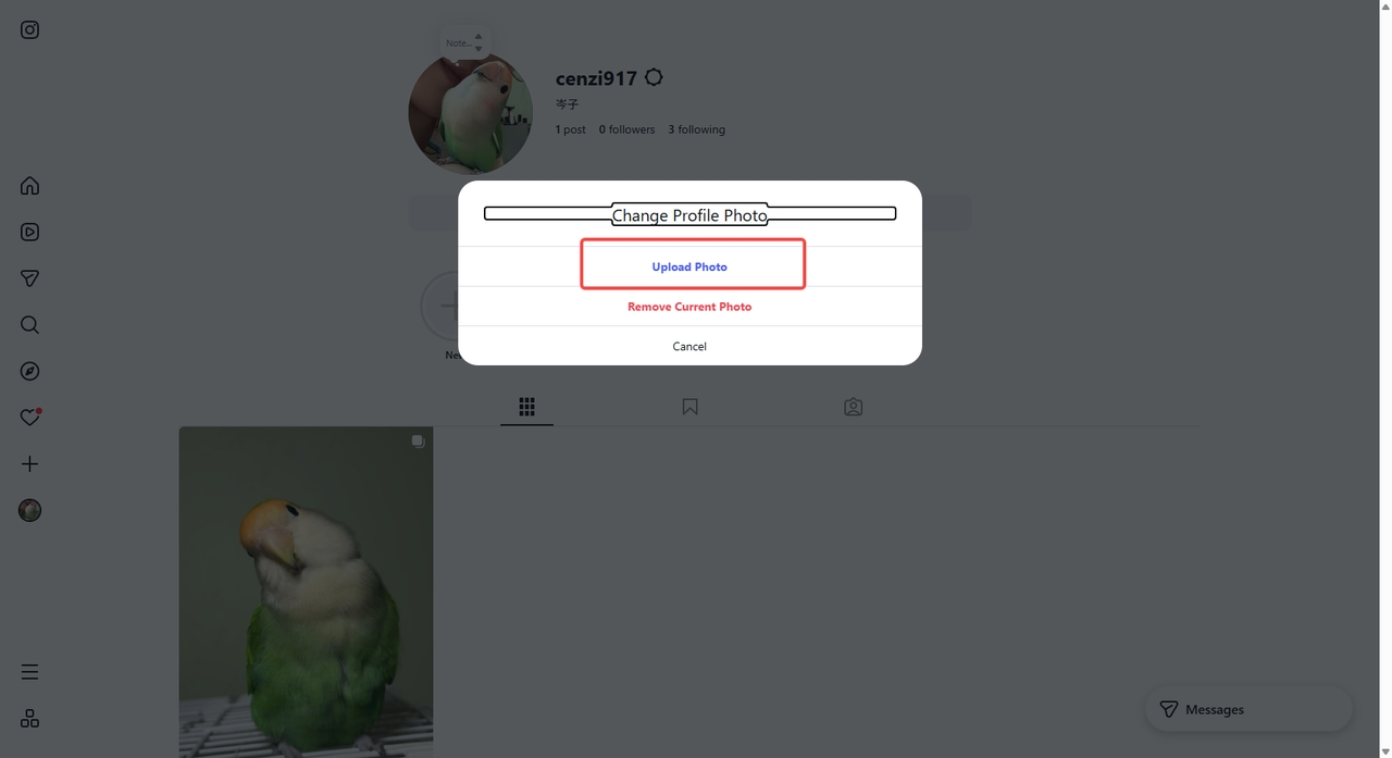 Click on the profile icon and upload the image